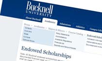 Bucknell University Endowed Scholarships